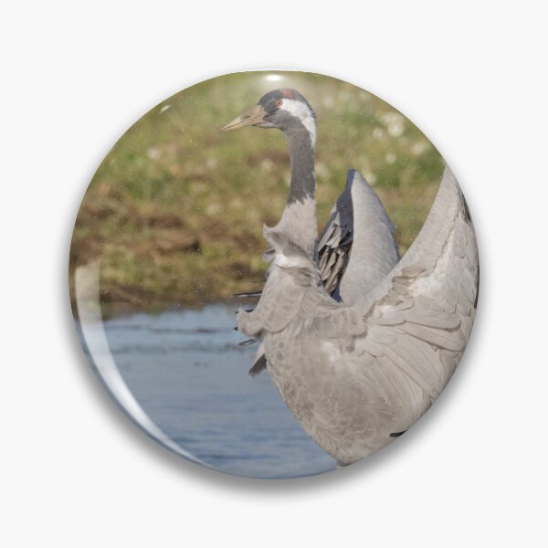 Item preview, Common Crane designed and sold by LaurenTucker.