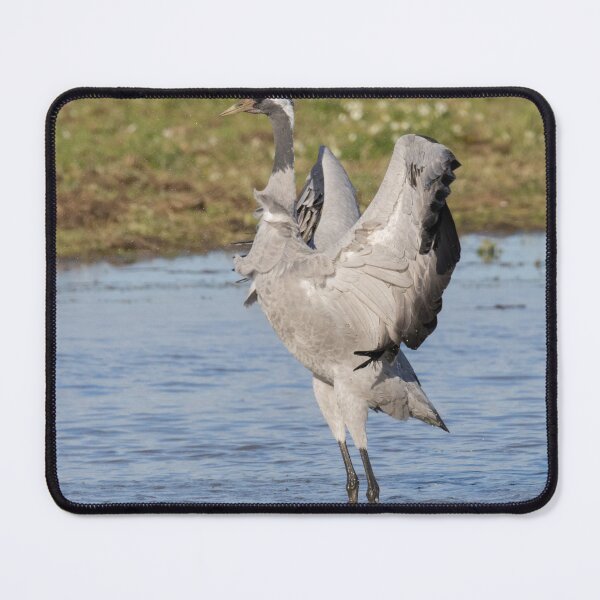 Item preview, Common Crane designed and sold by LaurenTucker.