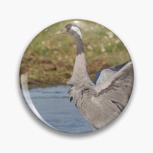 Item preview, Common Crane designed and sold by LaurenTucker.