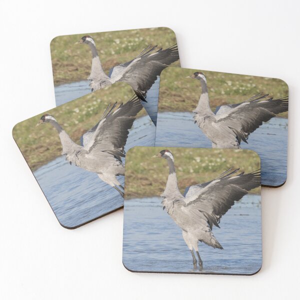 Item preview, Common Crane designed and sold by LaurenTucker.