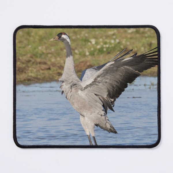 Item preview, Common Crane designed and sold by LaurenTucker.