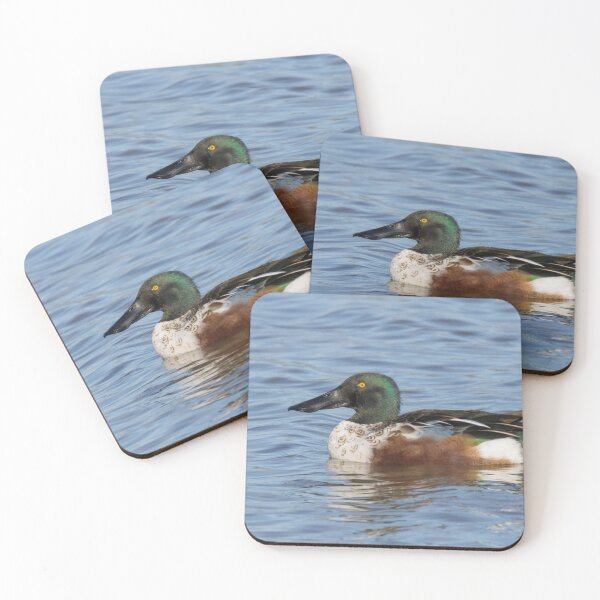 Item preview, Northern Shoveler designed and sold by LaurenTucker.