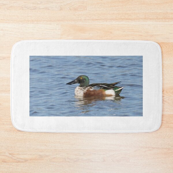 Item preview, Northern Shoveler designed and sold by LaurenTucker.