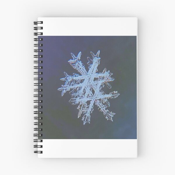 Item preview, Family is Everything  designed and sold by Kristin Morgan.