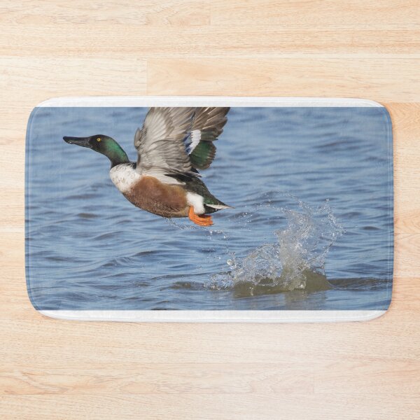 Item preview, Northern Shoveler designed and sold by LaurenTucker.