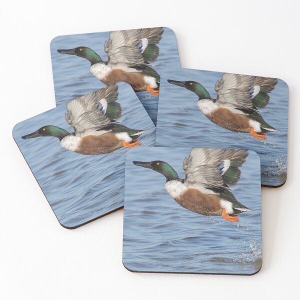 Item preview, Northern Shoveler designed and sold by LaurenTucker.