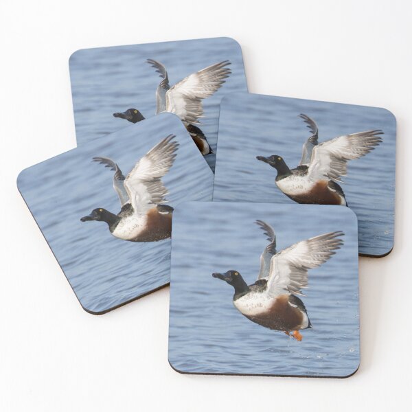 Item preview, Northern Shoveler designed and sold by LaurenTucker.