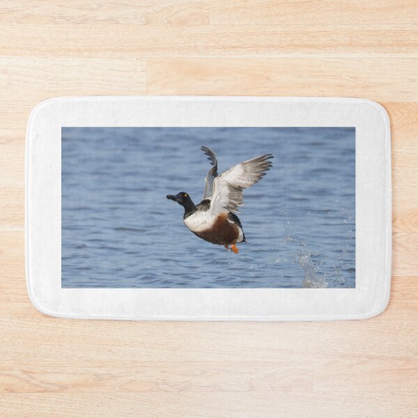 Item preview, Northern Shoveler designed and sold by LaurenTucker.