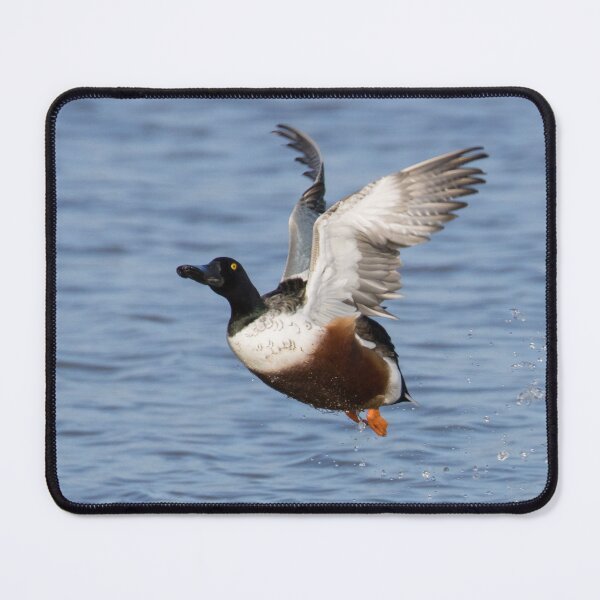 Item preview, Northern Shoveler designed and sold by LaurenTucker.