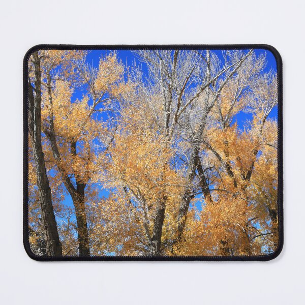Item preview, Autumn around Ohio City designed and sold by zumi.