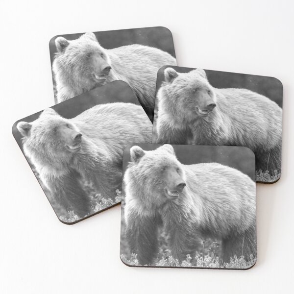 Item preview, Young grizzly bear II (monochrome) designed and sold by zumi.