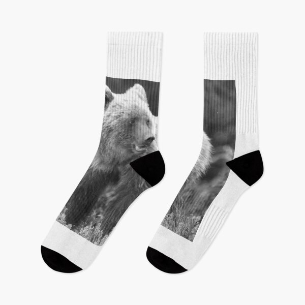 Item preview, Young grizzly bear II (monochrome) designed and sold by zumi.
