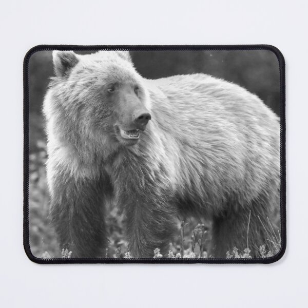 Item preview, Young grizzly bear II (monochrome) designed and sold by zumi.