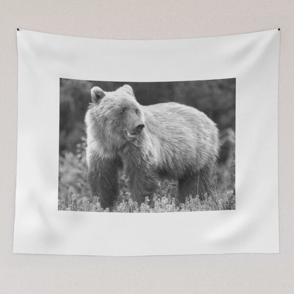 Item preview, Young grizzly bear II (monochrome) designed and sold by zumi.