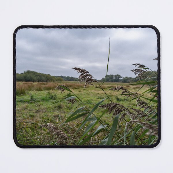 Item preview, Reeds in the marsh designed and sold by yackers1.