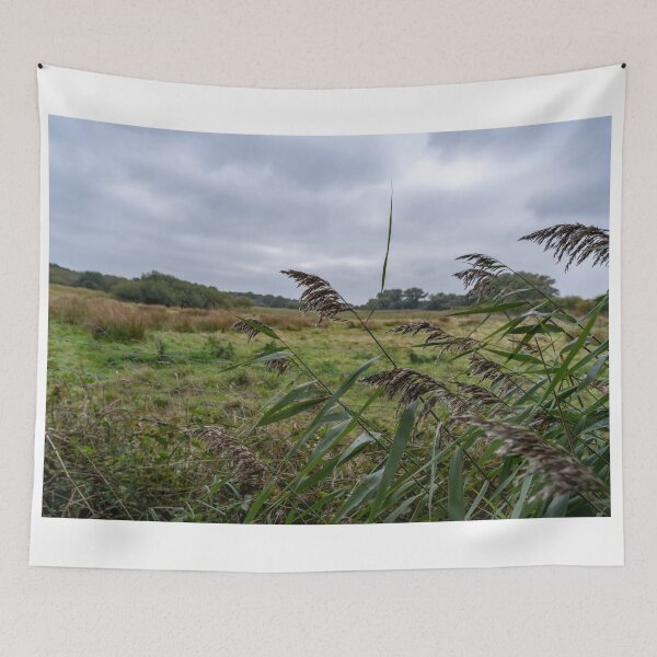 Item preview, Reeds in the marsh designed and sold by yackers1.
