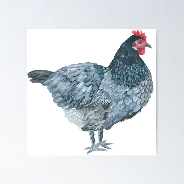 Item preview, Blue Feathered Hen designed and sold by MamaMakeCanvas.
