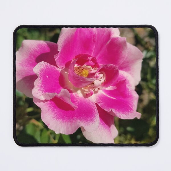 Item preview, A Need for Nature designed and sold by SCTBUFFALOPHOTO.
