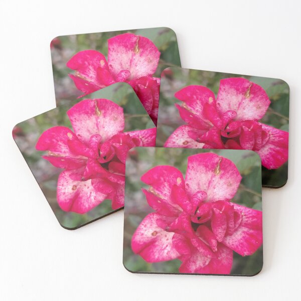 Item preview, A Rosy Splotchy Journey designed and sold by SCTBUFFALOPHOTO.