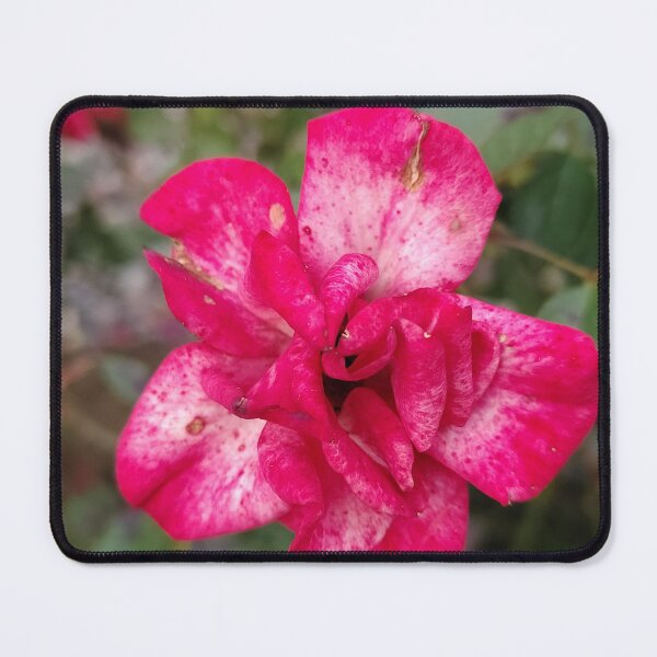Item preview, A Rosy Splotchy Journey designed and sold by SCTBUFFALOPHOTO.