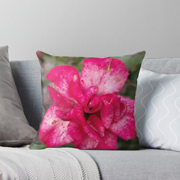 Item preview, A Rosy Splotchy Journey designed and sold by SCTBUFFALOPHOTO.