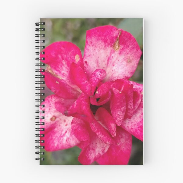 Item preview, A Rosy Splotchy Journey designed and sold by SCTBUFFALOPHOTO.