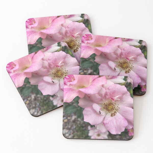 Item preview, A Song for a Rose designed and sold by SCTBUFFALOPHOTO.