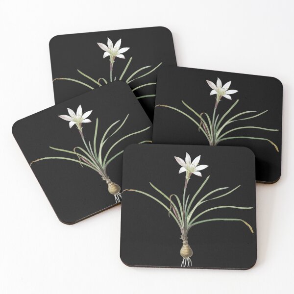 Item preview, Rain Lily (Zephyranthes) designed and sold by AngyDesigns49.