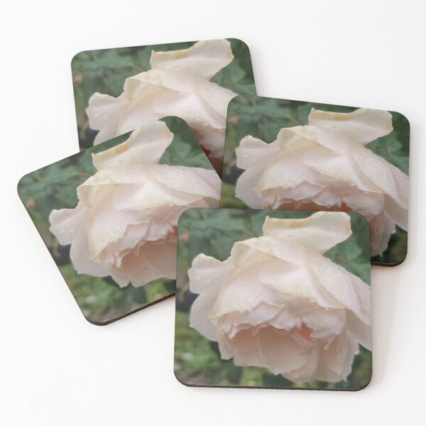Item preview, A Starlight of Flowers designed and sold by SCTBUFFALOPHOTO.