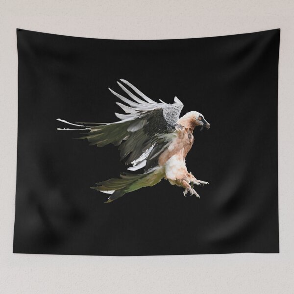 Item preview, Bearded Vulture - the landing approach / Swiss Artwork Photography designed and sold by Raphael Wolf.