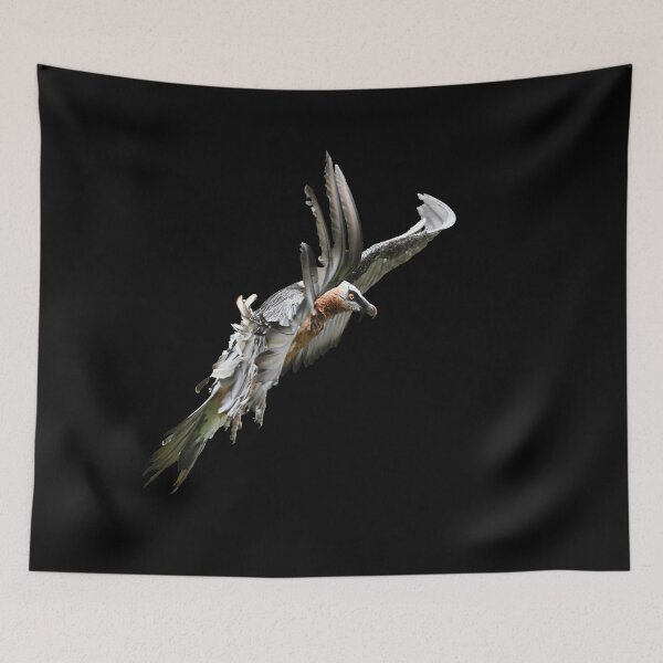 Item preview, Bearded Vulture – Majestic Flight over the Mountains / Swiss Artwork Photography designed and sold by Raphael Wolf.