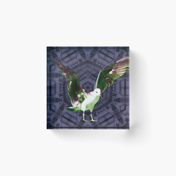 Item preview, Flight of Colors – Seagull and Vulture / Swiss Artwork Photography designed and sold by Raphael Wolf.