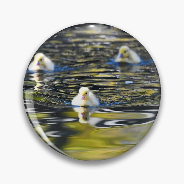 Item preview, Ducklings on shimmering water – Gentle movement / Swiss Artwork Photography designed and sold by Raphael Wolf.