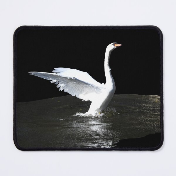 Item preview, The Art of the Swan Ballet – Elevated Grace / Swiss Artwork Photography designed and sold by Raphael Wolf.