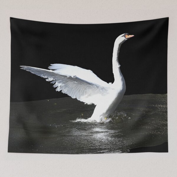 Item preview, The Art of the Swan Ballet – Elevated Grace / Swiss Artwork Photography designed and sold by Raphael Wolf.