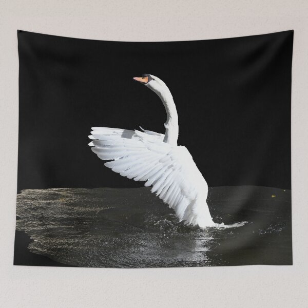 Item preview, The Art of the Swan Ballet – Grace in the Moment / Swiss Artwork Photography designed and sold by Raphael Wolf.