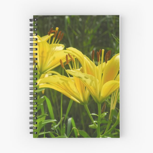 Item preview, Sunlit Yellow Lilies: Golden Bloom and Dark Stems designed and sold by Greysline.