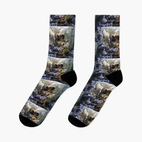 Item preview, Grotto Spring at U.S. Capitol designed and sold by John Schneider.