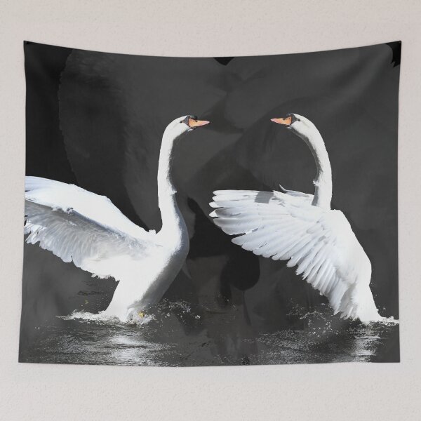 Item preview, The Art of the Swan Ballet – Elegance in Motion / Swiss Artwork Photography designed and sold by Raphael Wolf.