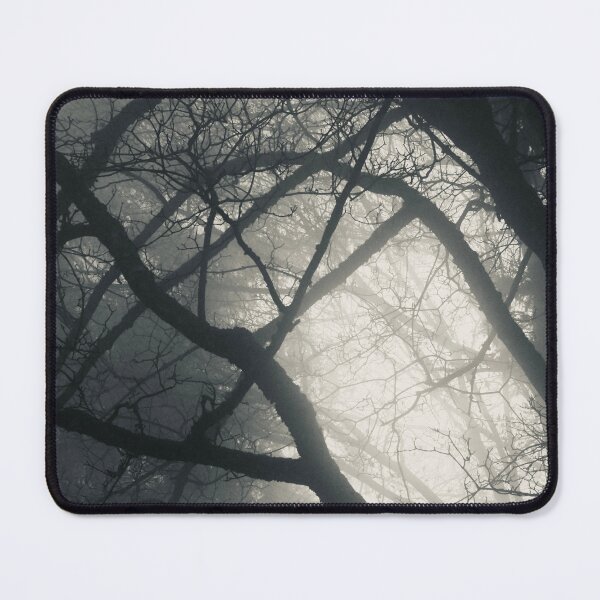 Item preview, Misty atmosphere in the forest – Mysterious tranquility / Swiss Artwork Photography designed and sold by Raphael Wolf.