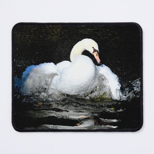 Item preview, The Flamenco Swan – Dance of Grace / Swiss Artwork Photography designed and sold by Raphael Wolf.