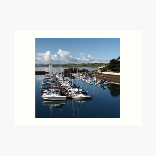 Newhaven Marina in Daylight Art Print