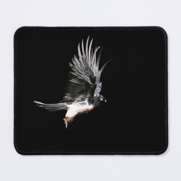 Item preview, Bearded Vulture – Majestic Flight / Swiss Artwork Photography designed and sold by Raphael Wolf.