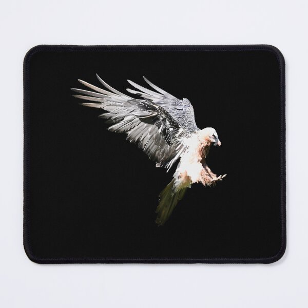 Item preview, Bearded Vulture – Magnificent Landing / Swiss Artwork Photography designed and sold by Raphael Wolf.