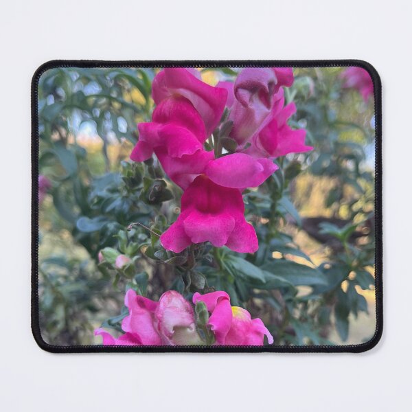 Item preview, Snapdragons designed and sold by SkyrozeTs.