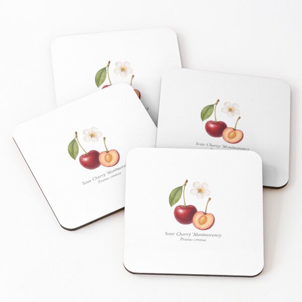 Item preview, Sour Cherry ‘Montmorency’ – Bright Tart Botanical Illustration designed and sold by BloomKind.