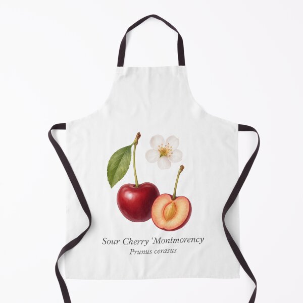Item preview, Sour Cherry ‘Montmorency’ – Bright Tart Botanical Illustration designed and sold by BloomKind.