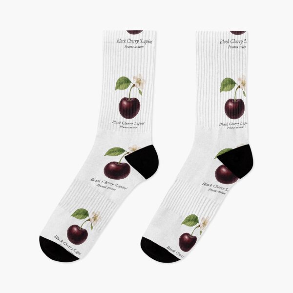 Item preview, Black Cherry ‘Lapins’ – Dark Burgundy Botanical Illustration designed and sold by BloomKind.