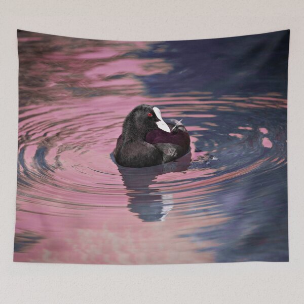 Item preview, Coot – Dance in the Water / Swiss Artwork Photography designed and sold by Raphael Wolf.