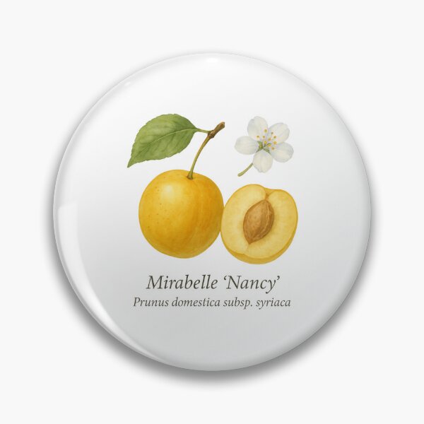 Item preview, Mirabelle ‘Nancy’ – Golden Orchard Botanical Illustration designed and sold by BloomKind.